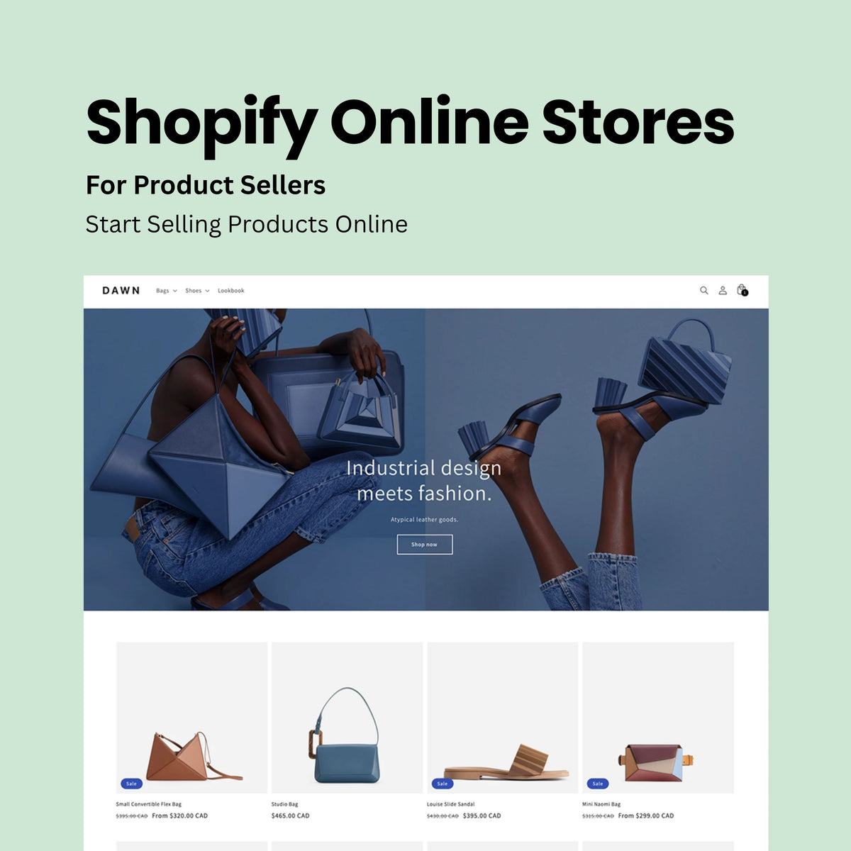 Shopify Web Design